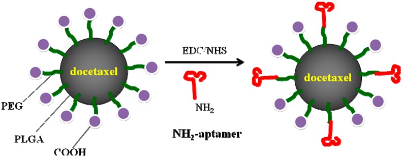 Scheme 6