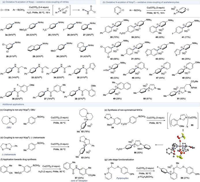 Scheme 7