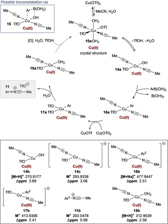 Scheme 4