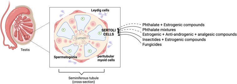 Figure 1