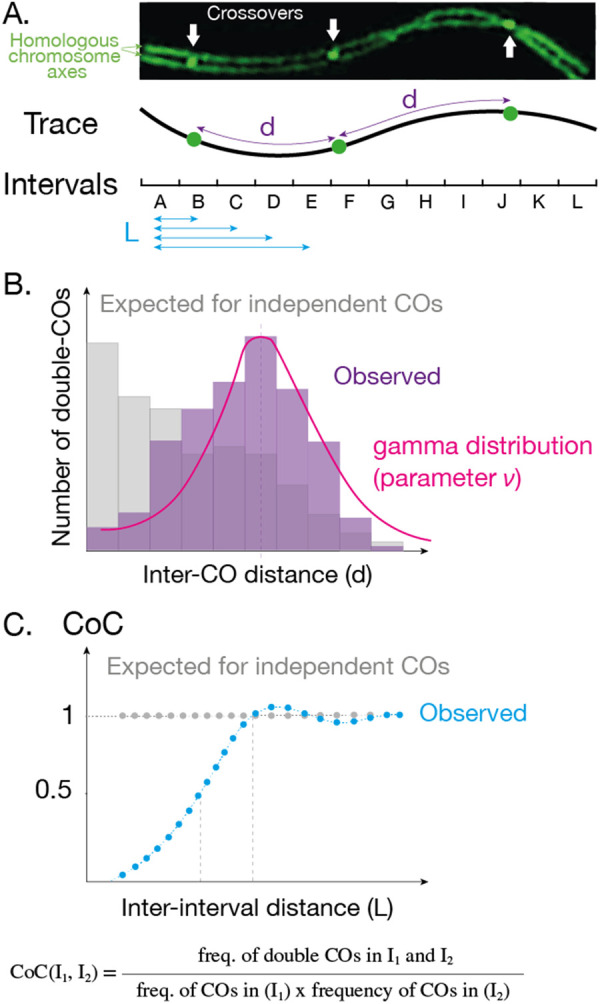 Figure 2.