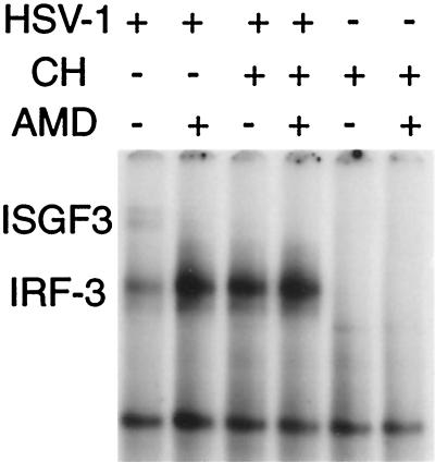 FIG. 6