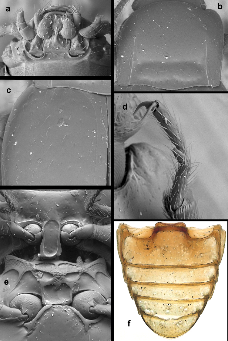 Figure 17.