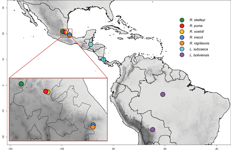 Figure 21.