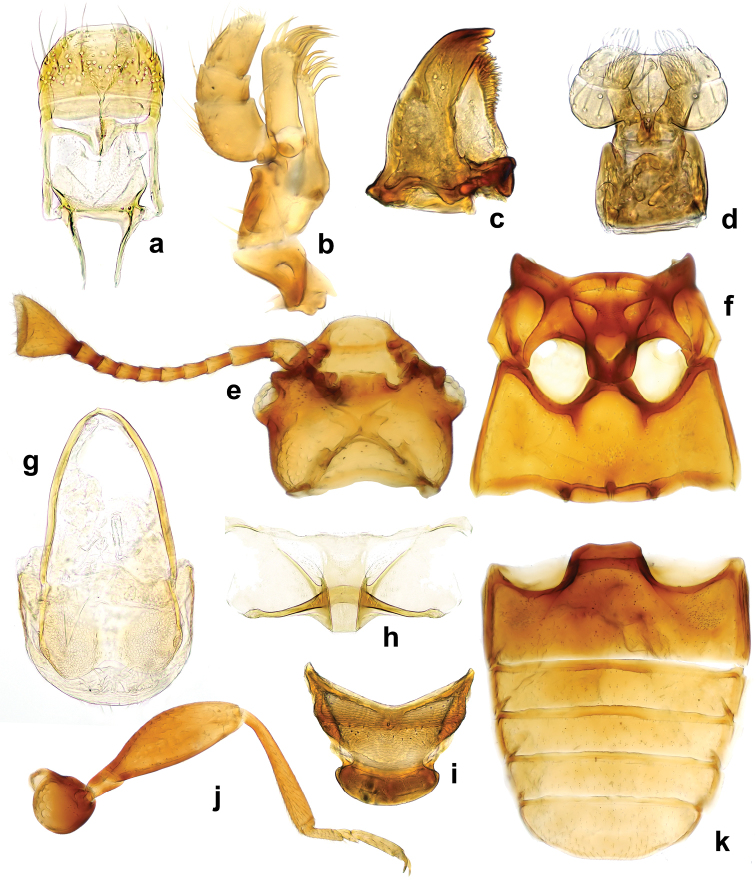 Figure 7.