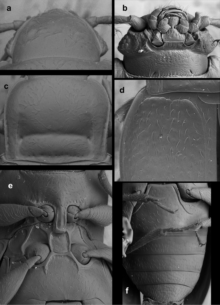 Figure 16.