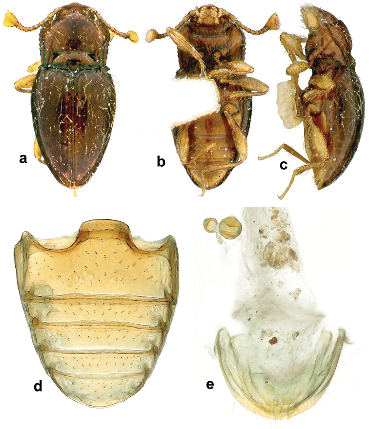 Figure 2.