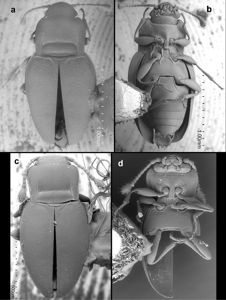 Figure 13.