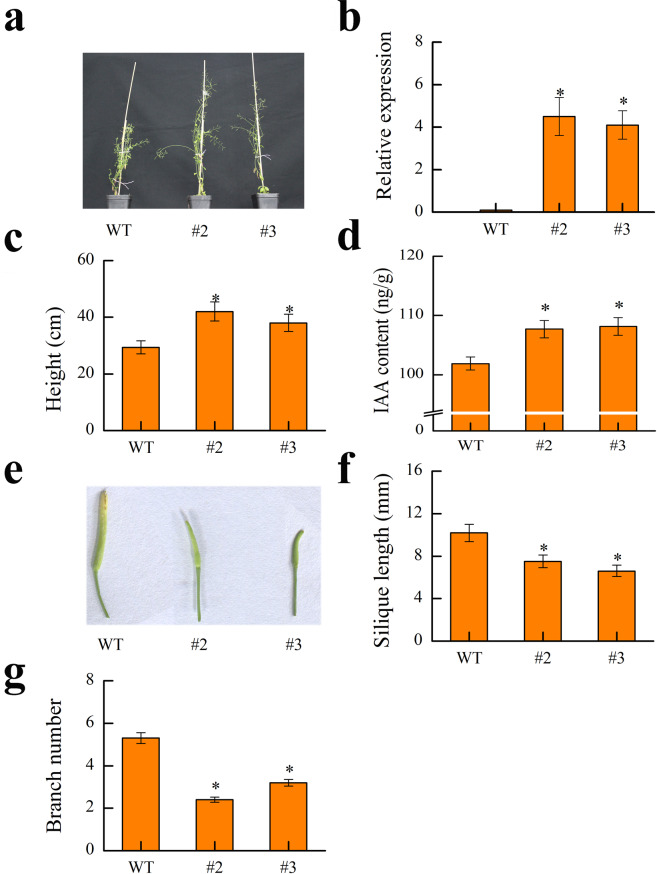 Figure 10