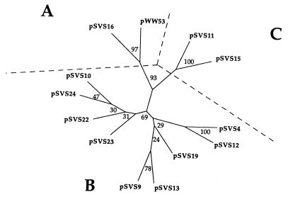 FIG. 6