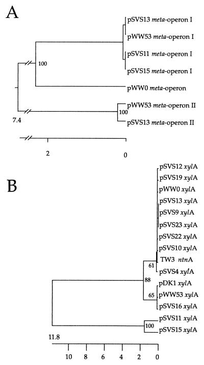 FIG. 7