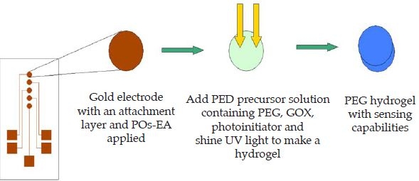 Figure 1.