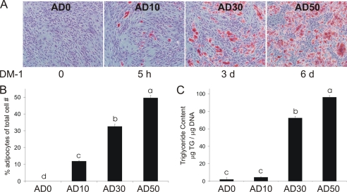 FIGURE 1.