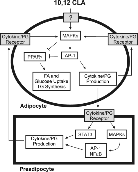 FIGURE 10.