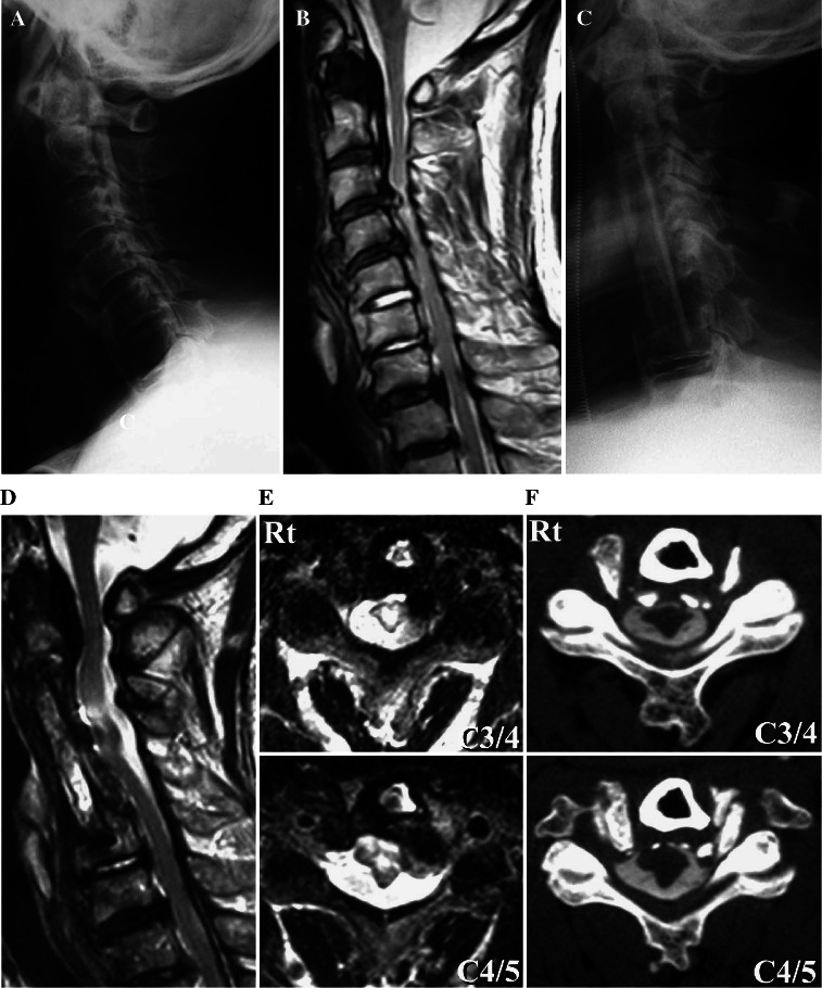 Fig. 3