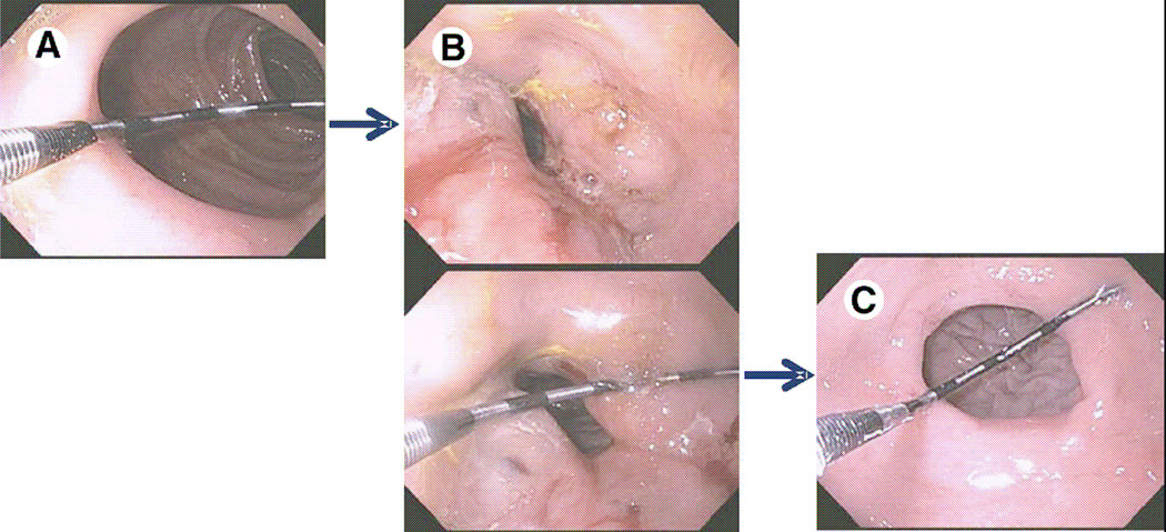 FIGURE 10