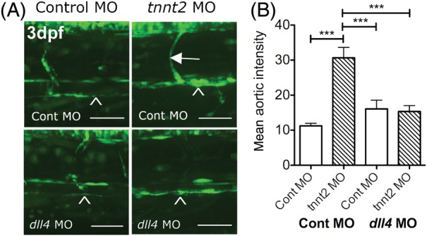 Figure 3