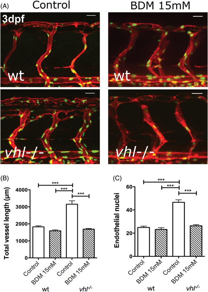 Figure 6