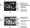 FIG. 2.