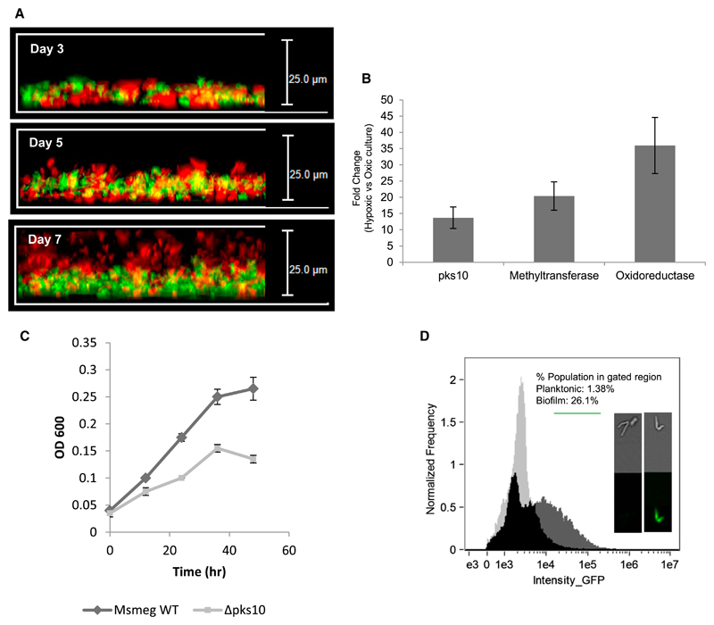 Figure 6