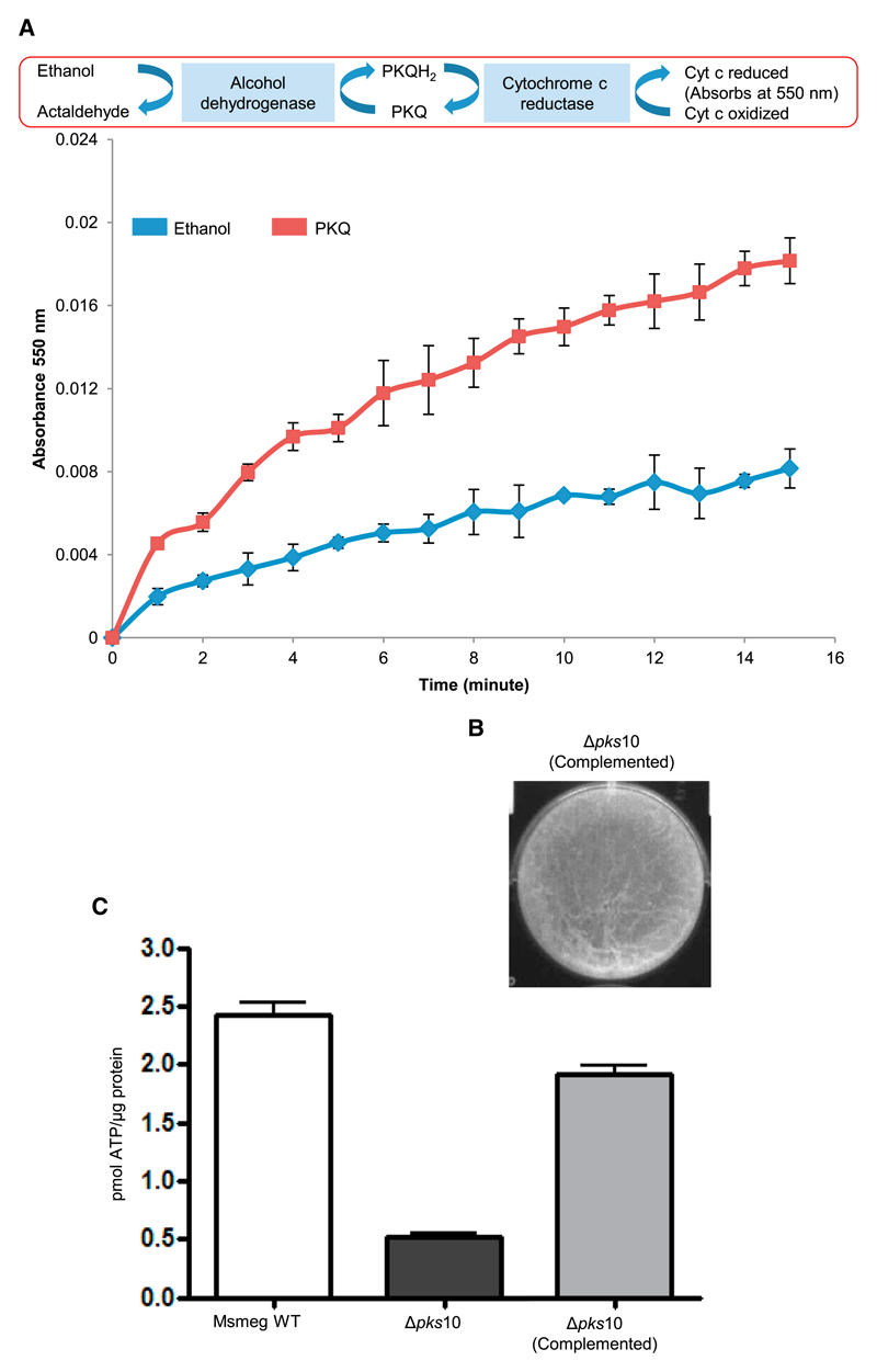 Figure 5