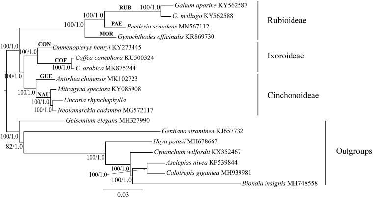 Figure 1.