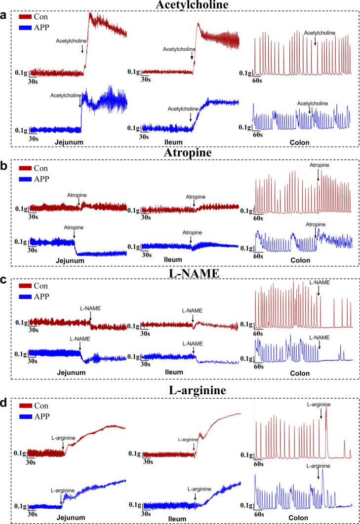 Fig. 2