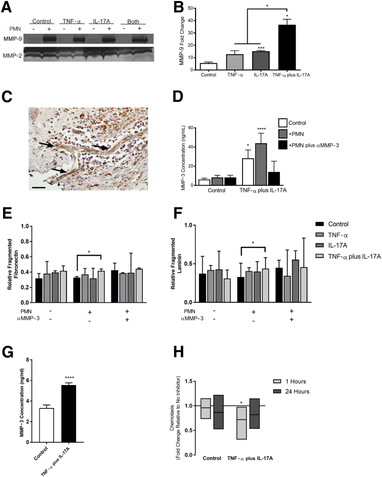 Figure 6