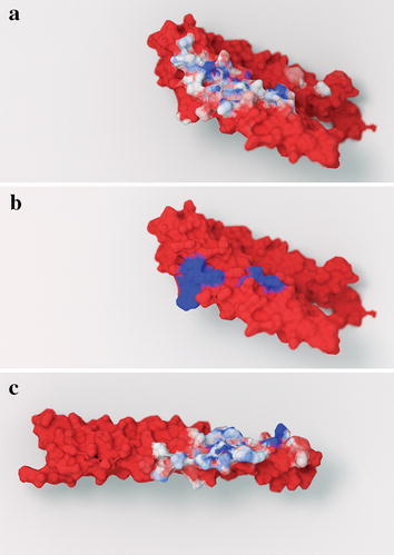 Fig. 2