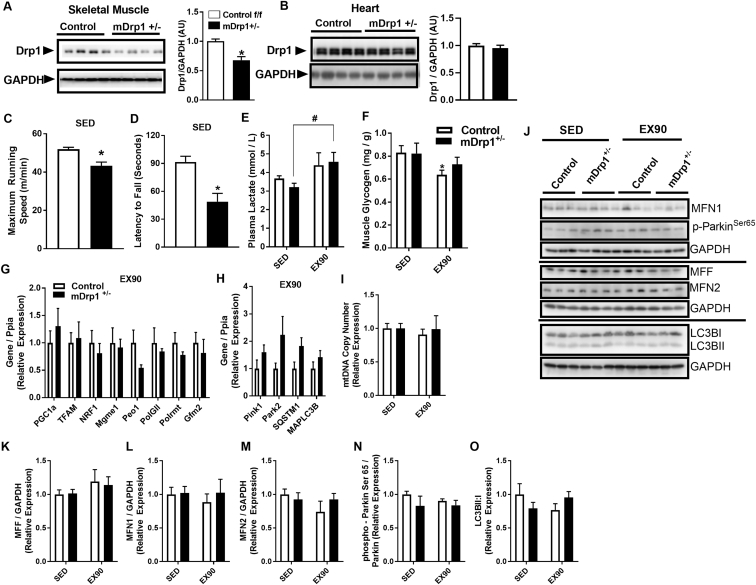 Figure 6