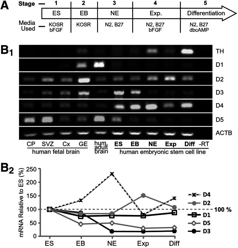 FIG. 1.