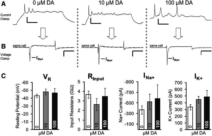 FIG. 8.