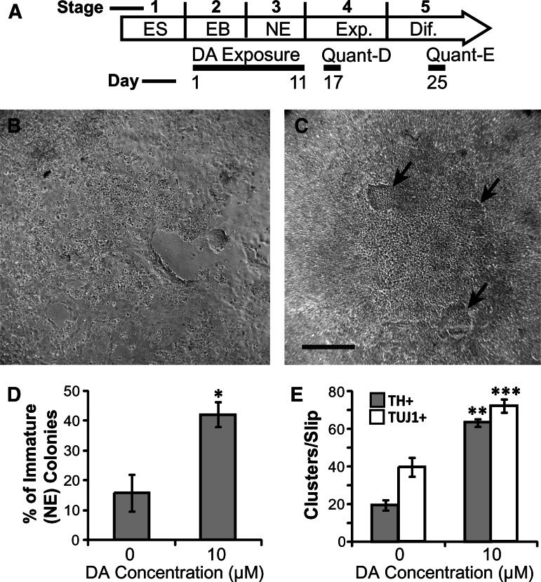 FIG. 6.