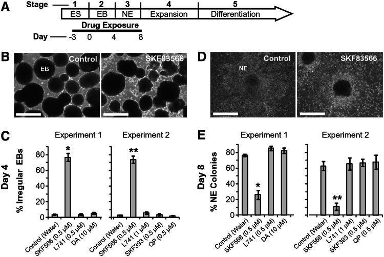 FIG. 4.