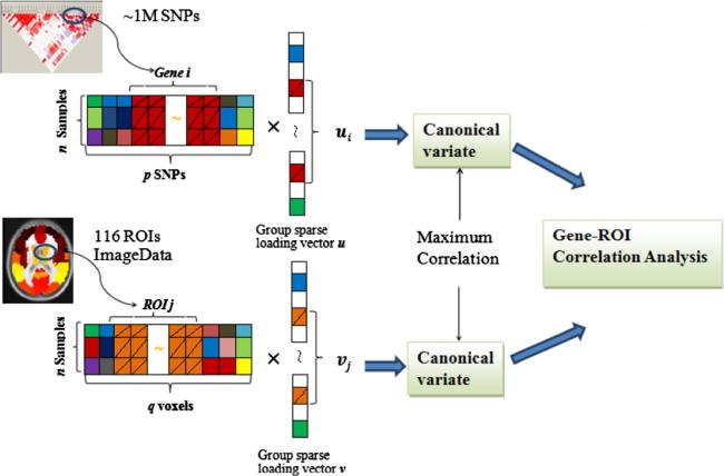 Fig. 1