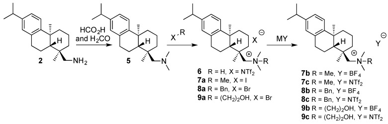 Scheme 1