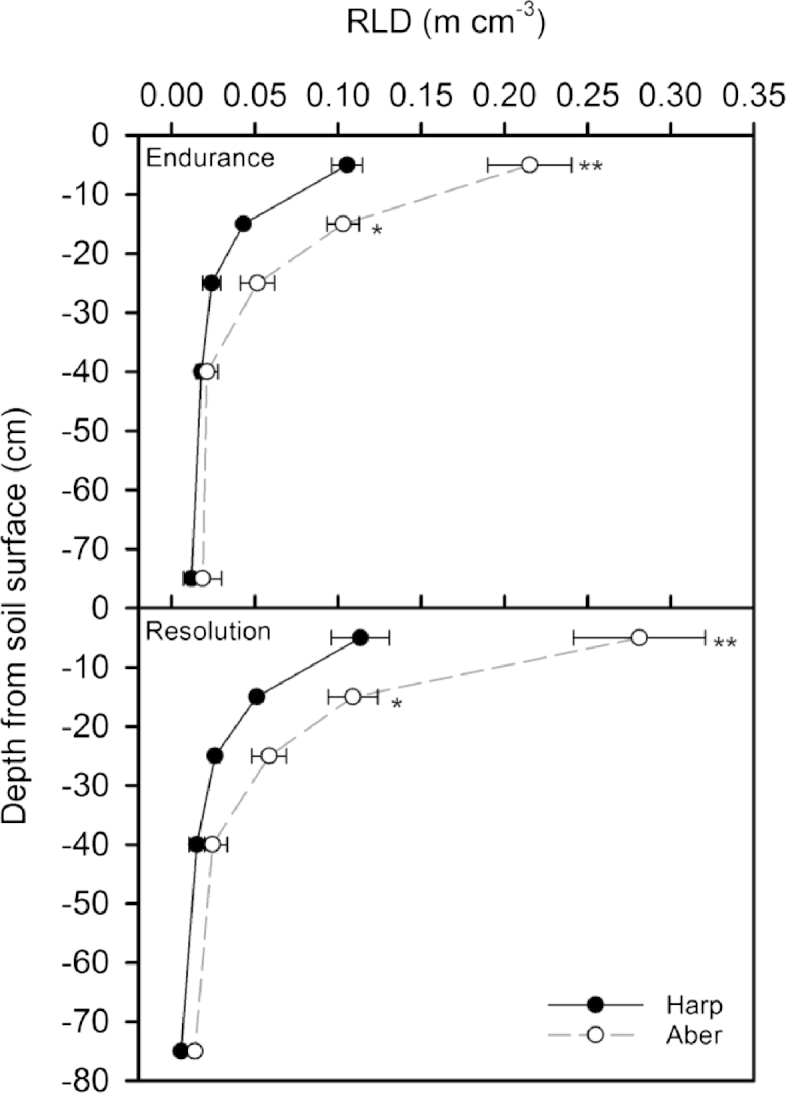 Fig. 5