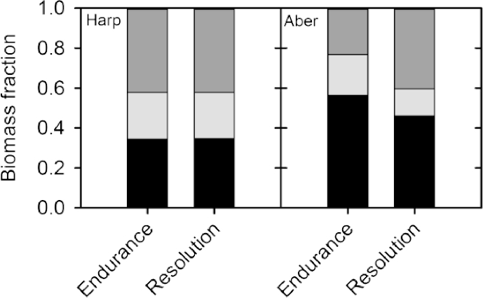 Fig. 6