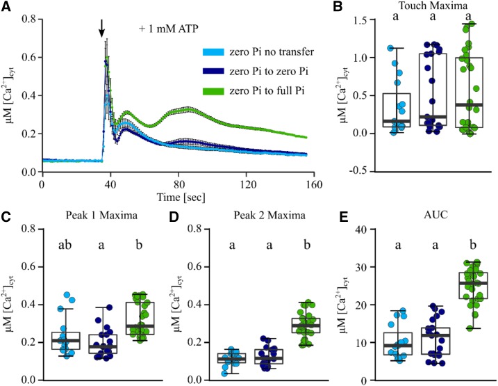 Figure 6.