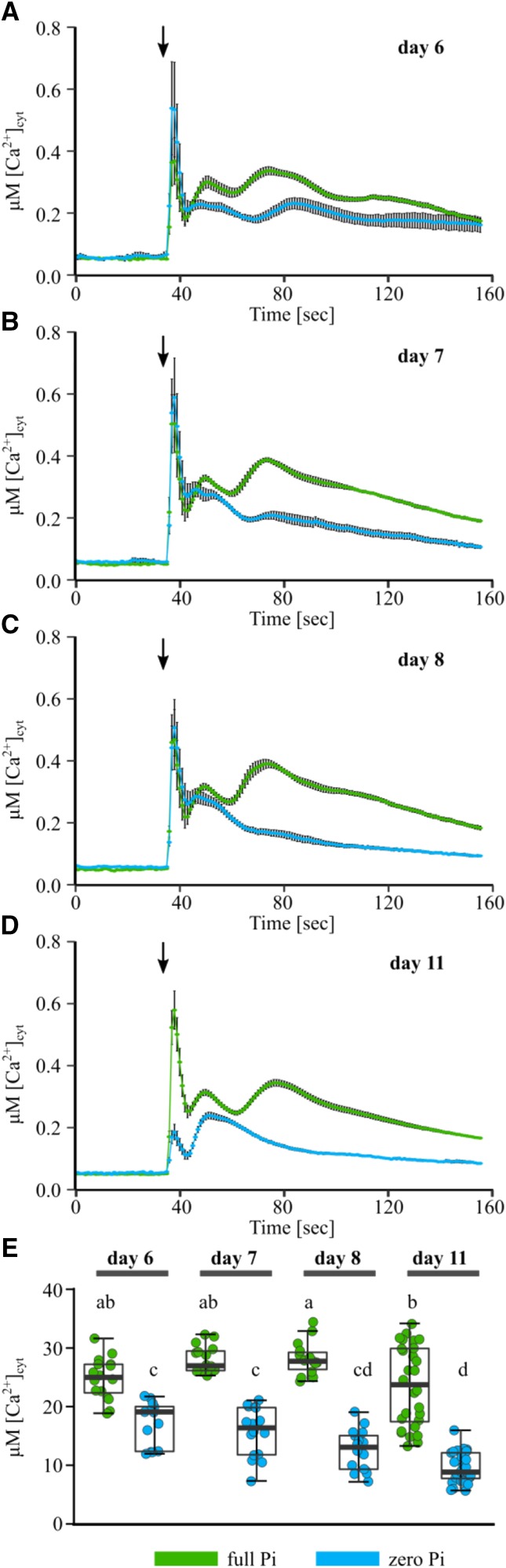 Figure 5.