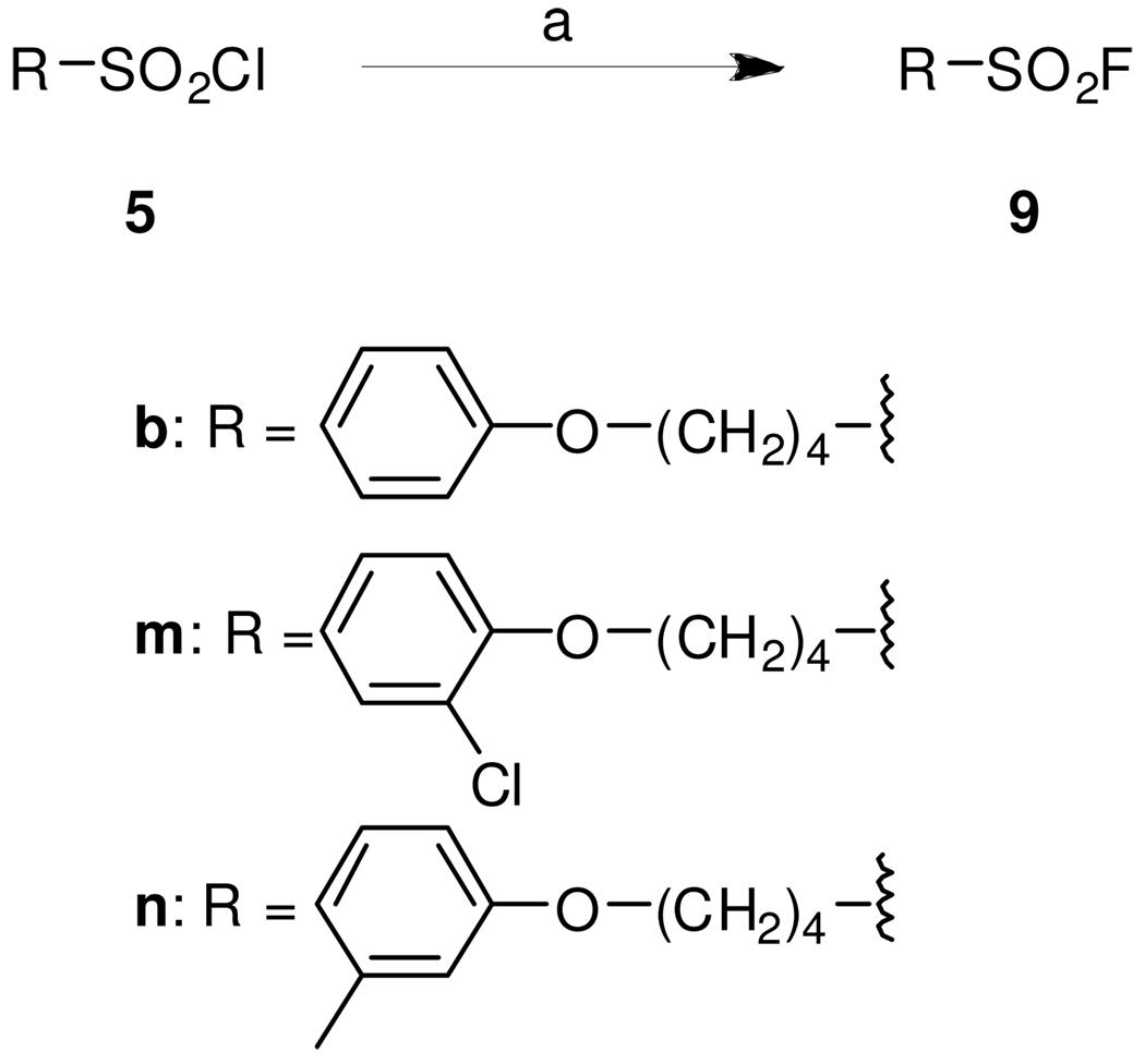 Scheme 2