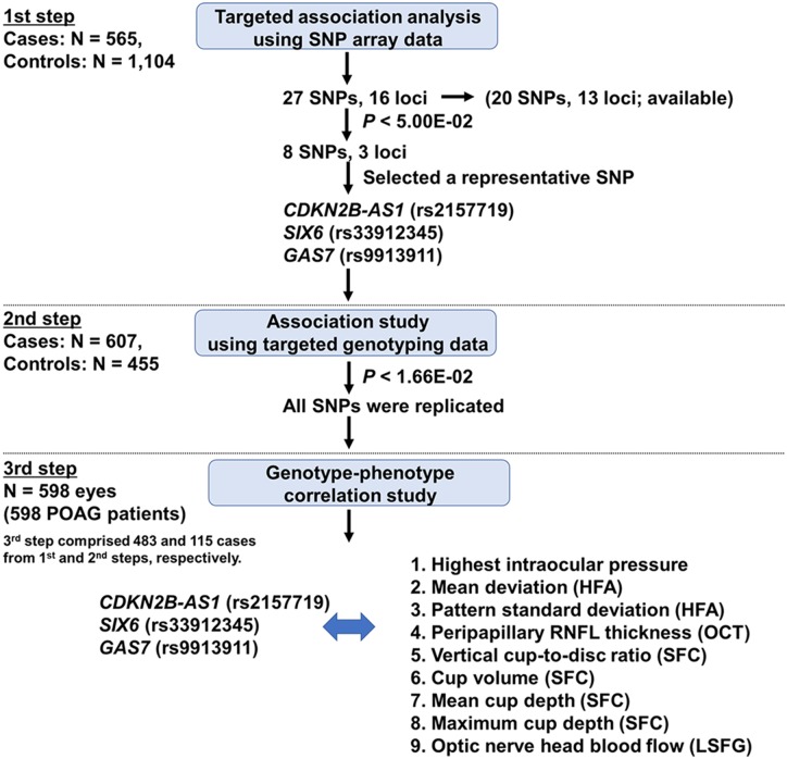 Fig 1