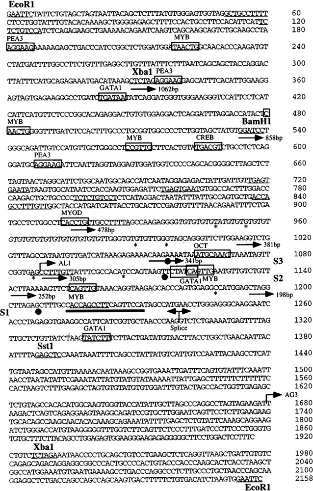 FIG. 6