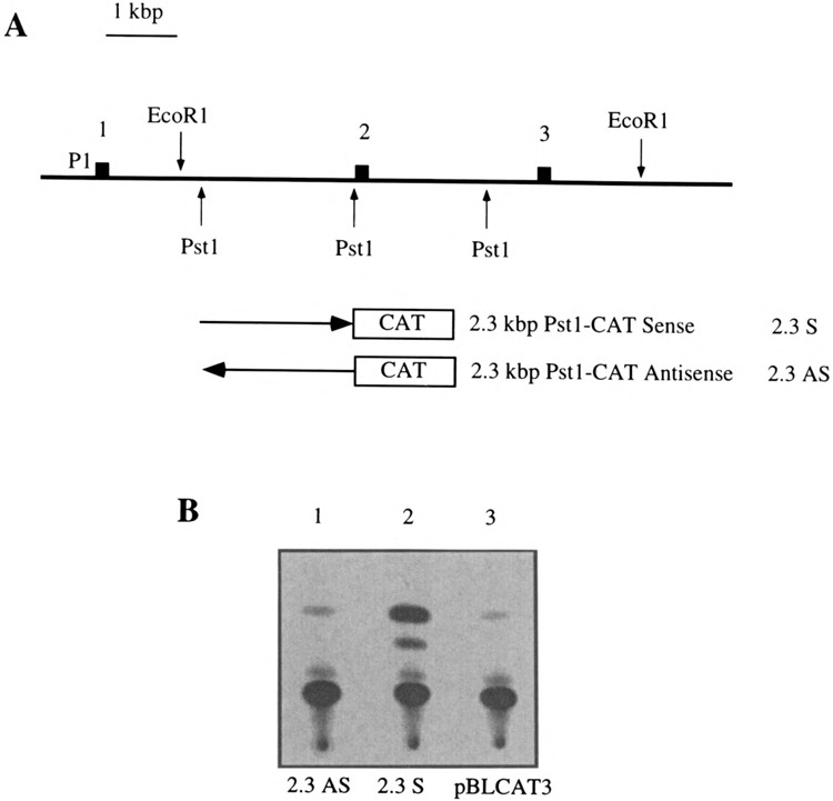 FIG. 7