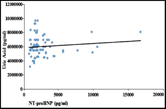 Fig.2