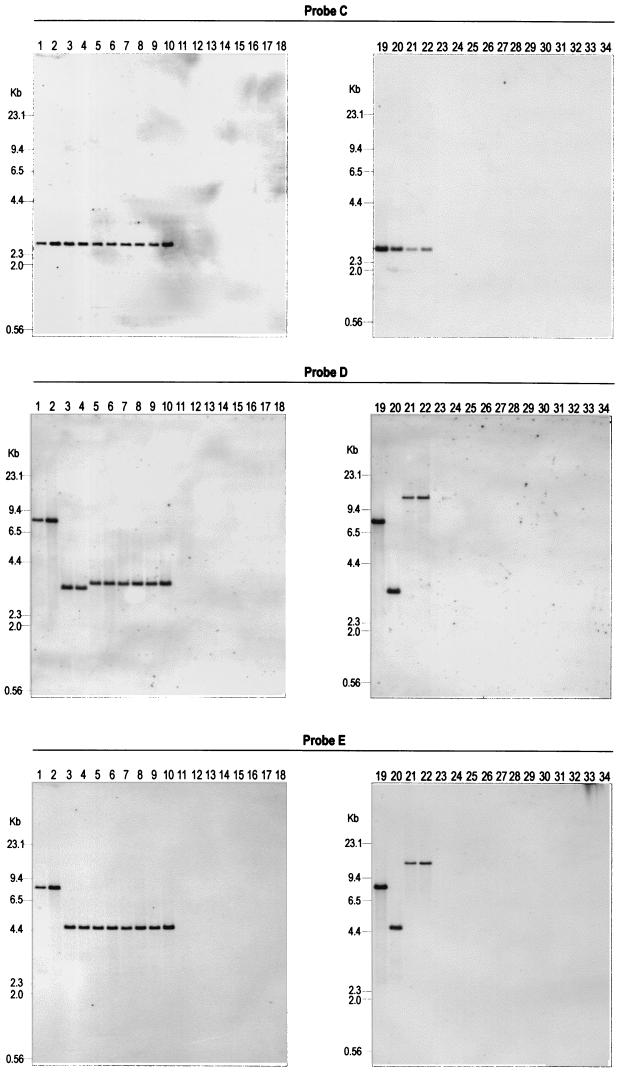 FIG. 4.