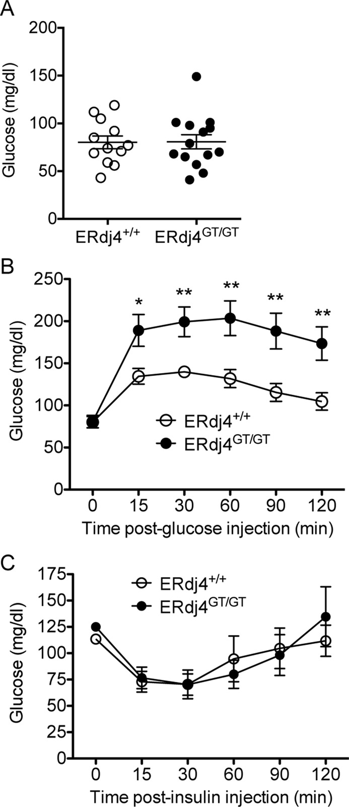 FIGURE 6: