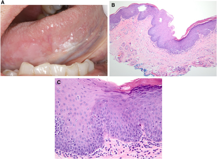 Fig. 8