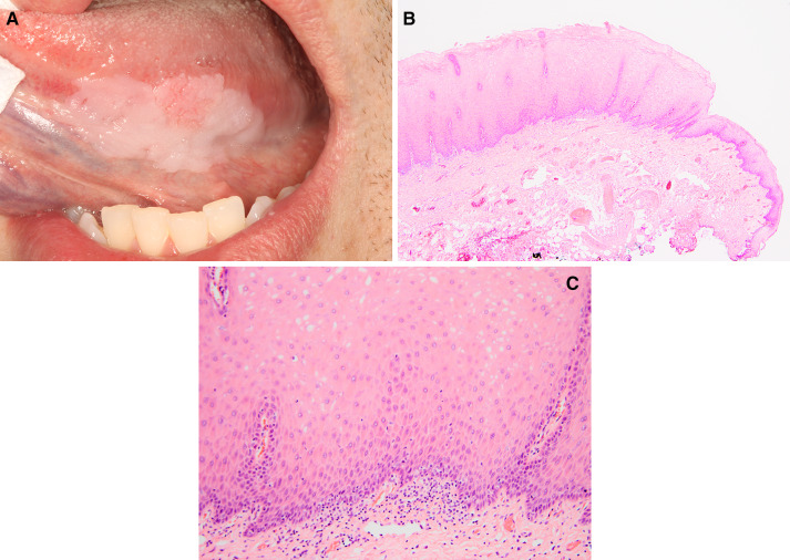 Fig. 7