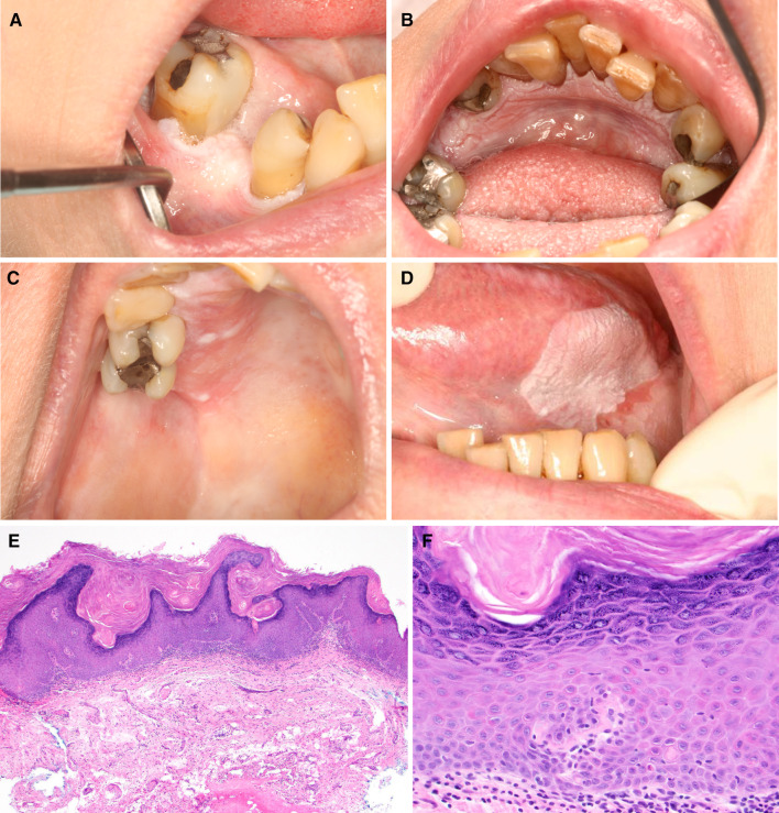 Fig. 9